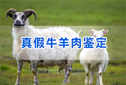 内江羊类动物鉴定